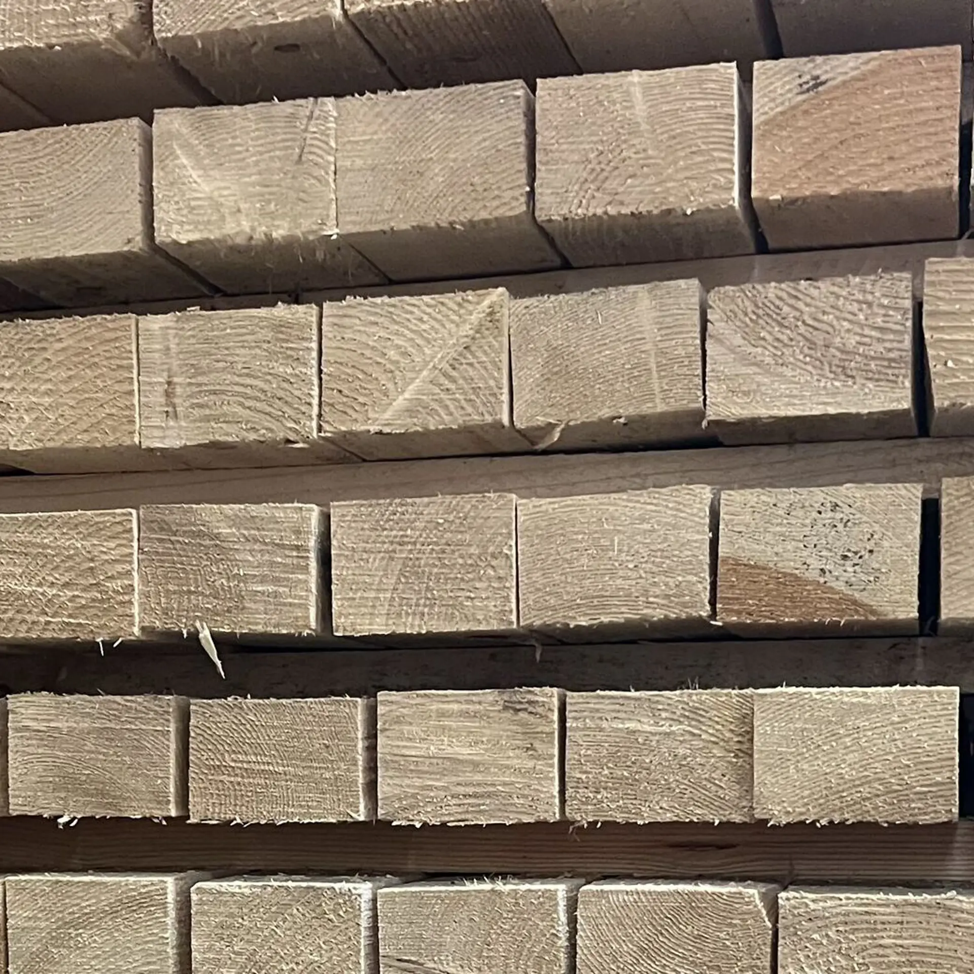 Pine Batten Rough - 50x75x3000