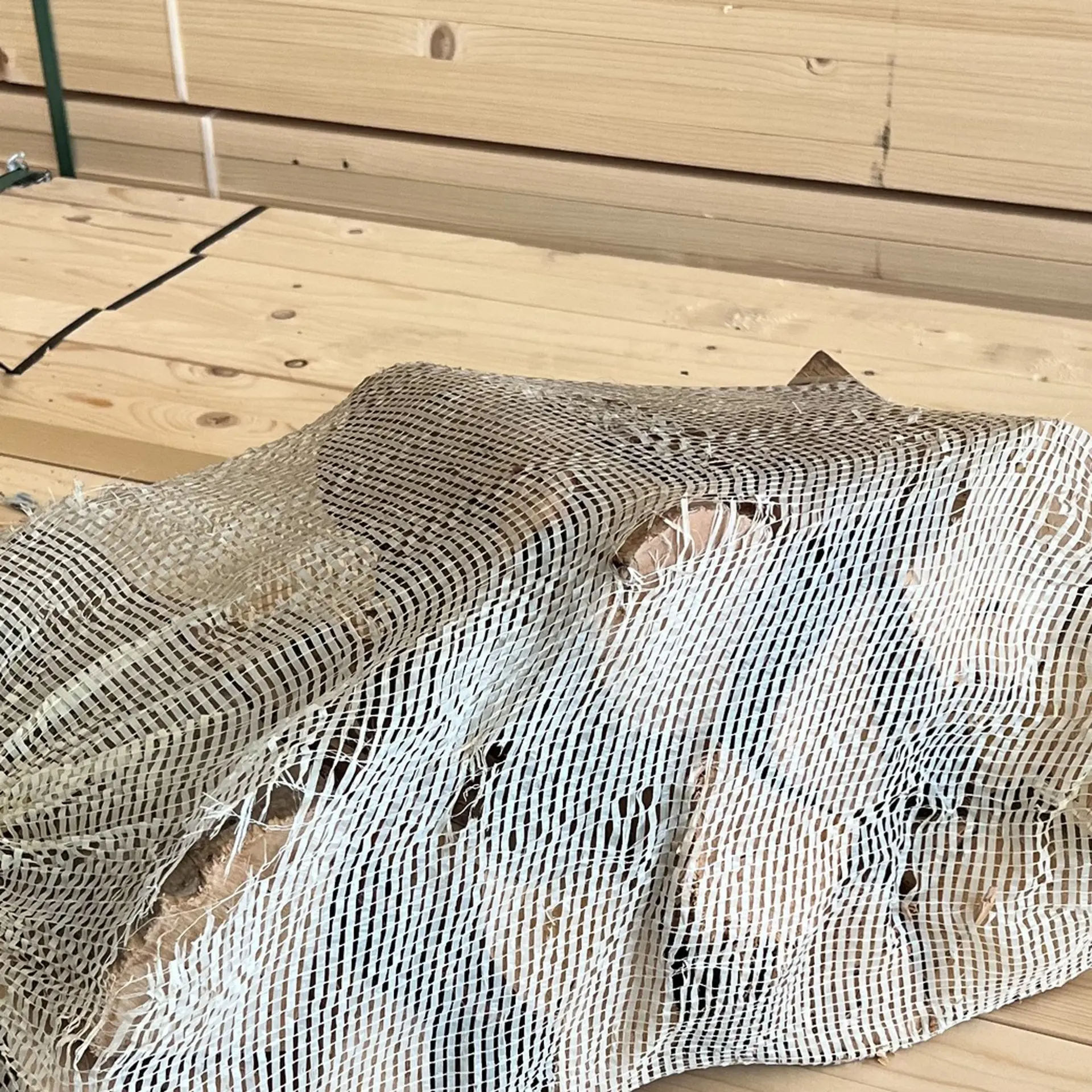 Dry firewood ash tree 30cm, 40l