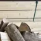 Dry firewood ash tree 30cm, 40l