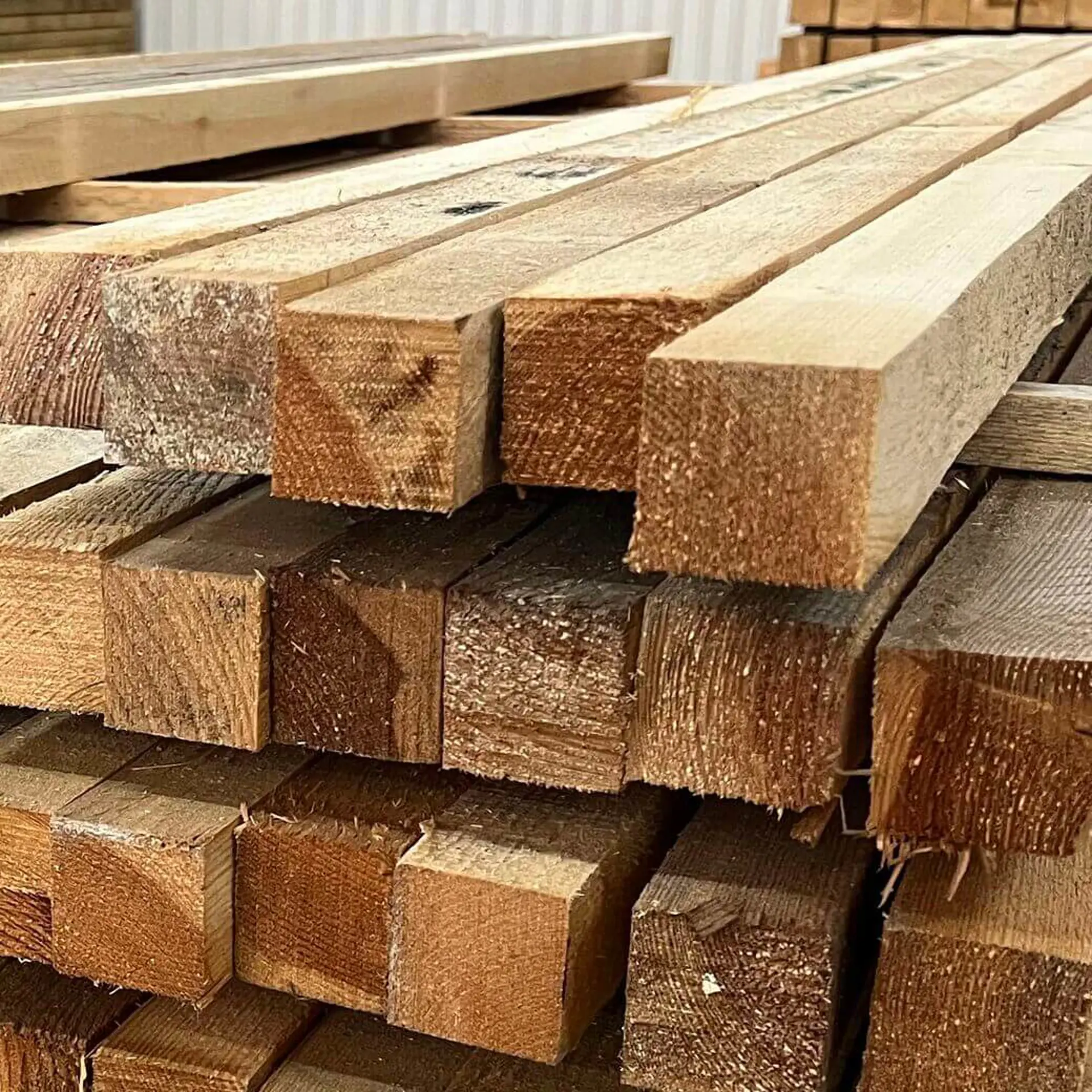 Pine Batten Rough - 50x50x3000
