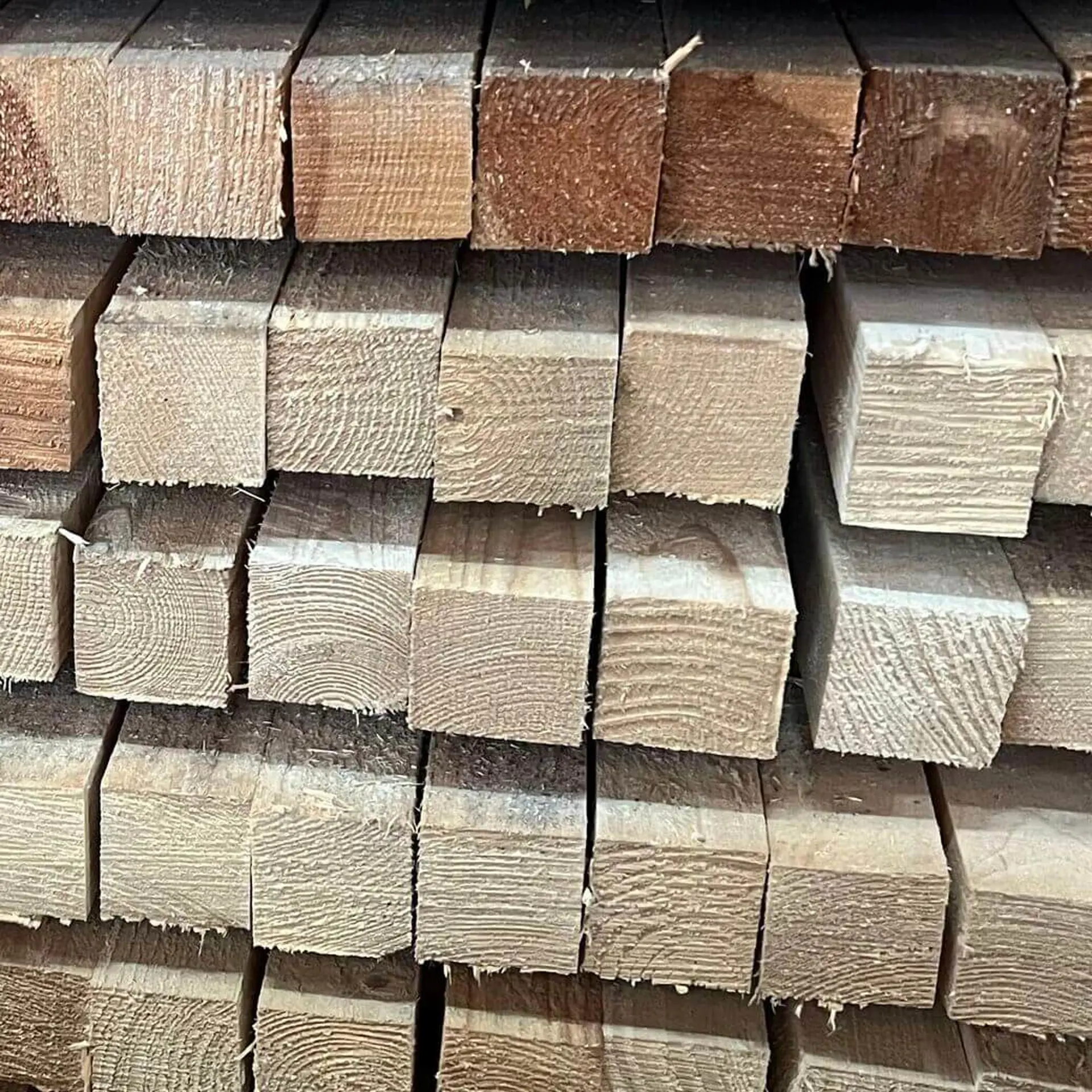 Pine Batten Rough - 50x50x3000