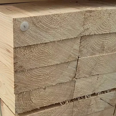 Vigas Maciças